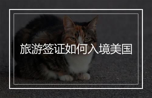 旅游签证如何入境美国