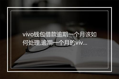 vivo钱包借款逾期一个月该如何处理,逾期一个月的vivo钱包借款有哪些后果