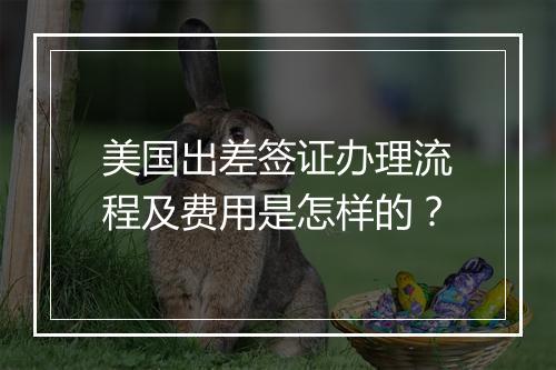 美国出差签证办理流程及费用是怎样的？