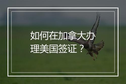 如何在加拿大办理美国签证？