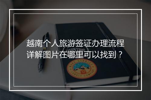 越南个人旅游签证办理流程详解图片在哪里可以找到？