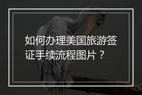 如何办理美国旅游签证手续流程图片？