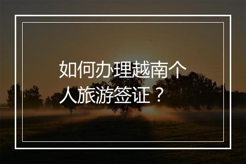 如何办理越南个人旅游签证？