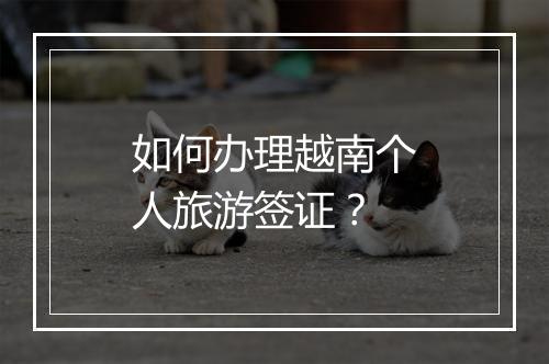 如何办理越南个人旅游签证？