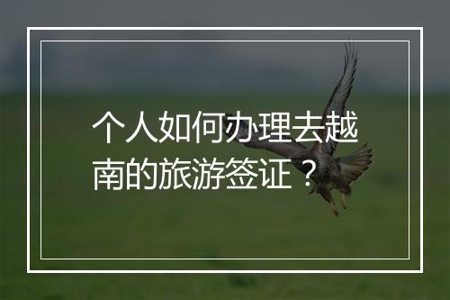 个人如何办理去越南的旅游签证？