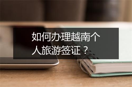 如何办理越南个人旅游签证？