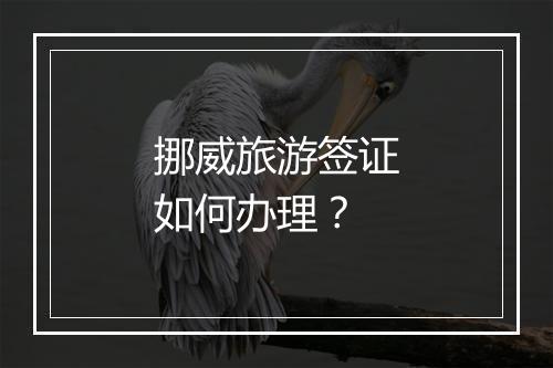 挪威旅游签证如何办理？