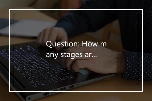 Question: How many stages are there in the labor dispute settlement process?