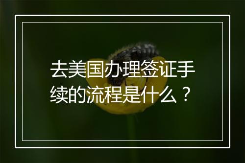 去美国办理签证手续的流程是什么？