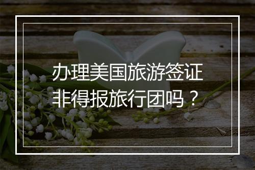 办理美国旅游签证非得报旅行团吗？