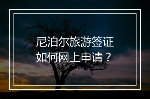 尼泊尔旅游签证如何网上申请？