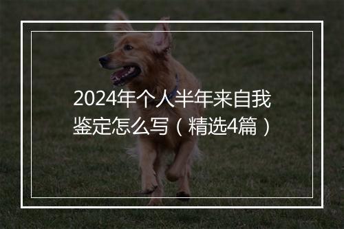 2024年个人半年来自我鉴定怎么写（精选4篇）