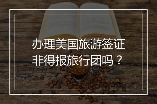 办理美国旅游签证非得报旅行团吗？