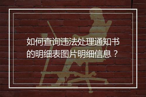 如何查询违法处理通知书的明细表图片明细信息？