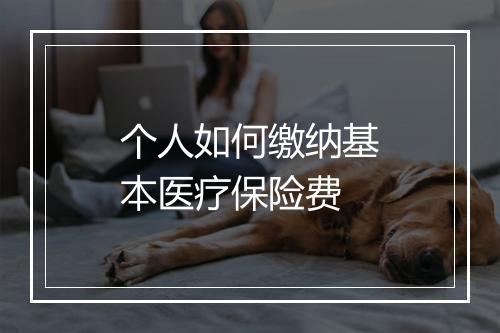 个人如何缴纳基本医疗保险费