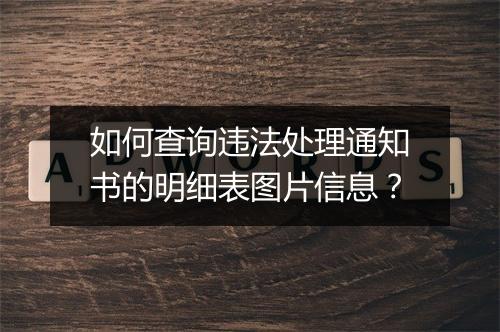 如何查询违法处理通知书的明细表图片信息？