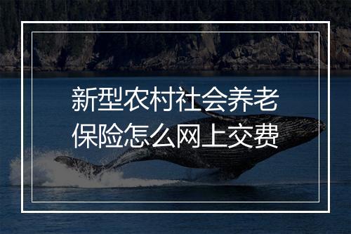 新型农村社会养老保险怎么网上交费