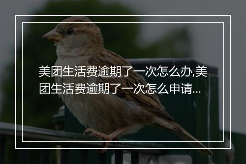 美团生活费逾期了一次怎么办,美团生活费逾期了一次怎么申请延期还款