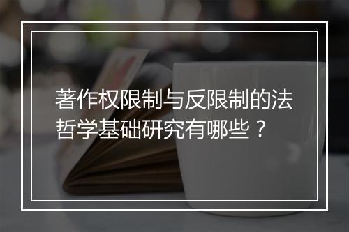 著作权限制与反限制的法哲学基础研究有哪些？