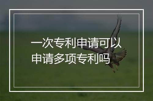 一次专利申请可以申请多项专利吗