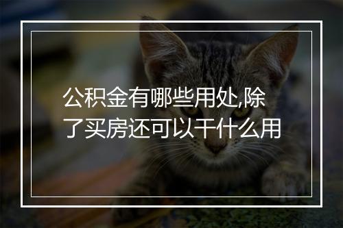 公积金有哪些用处,除了买房还可以干什么用