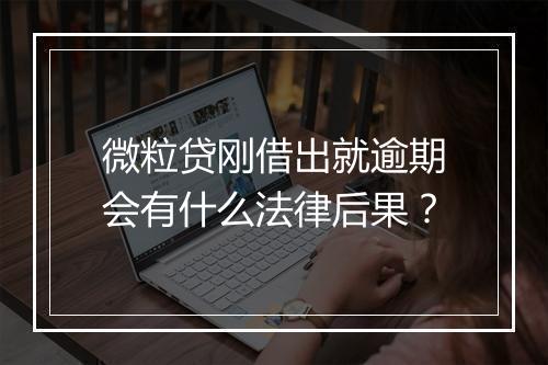 微粒贷刚借出就逾期会有什么法律后果？