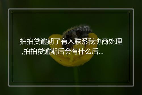 拍拍贷逾期了有人联系我协商处理 ,拍拍贷逾期后会有什么后果