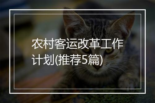 农村客运改革工作计划(推荐5篇)