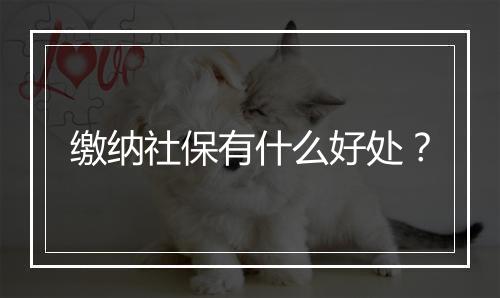 缴纳社保有什么好处？