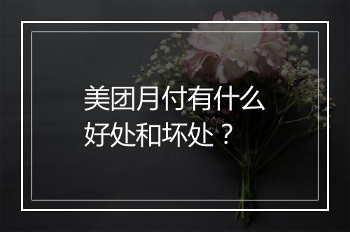 美团月付有什么好处和坏处？