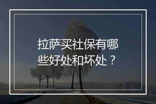 拉萨买社保有哪些好处和坏处？