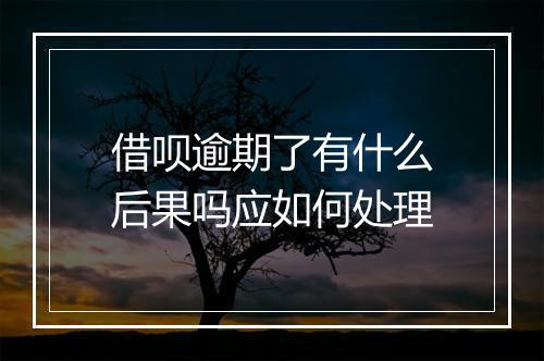 借呗逾期了有什么后果吗应如何处理