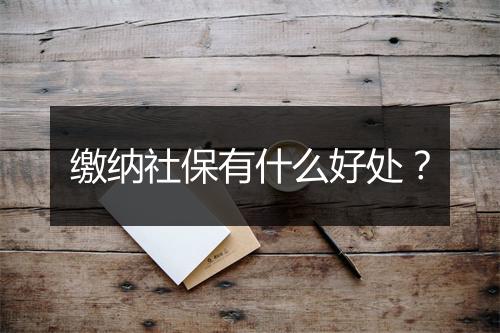 缴纳社保有什么好处？