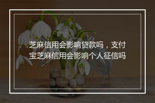 芝麻信用会影响贷款吗，支付宝芝麻信用会影响个人征信吗