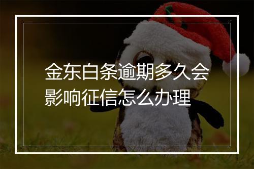 金东白条逾期多久会影响征信怎么办理