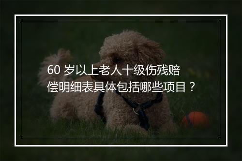 60 岁以上老人十级伤残赔偿明细表具体包括哪些项目？