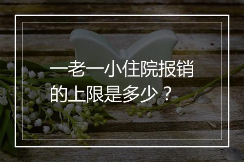 一老一小住院报销的上限是多少？