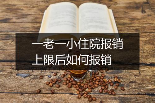 一老一小住院报销上限后如何报销