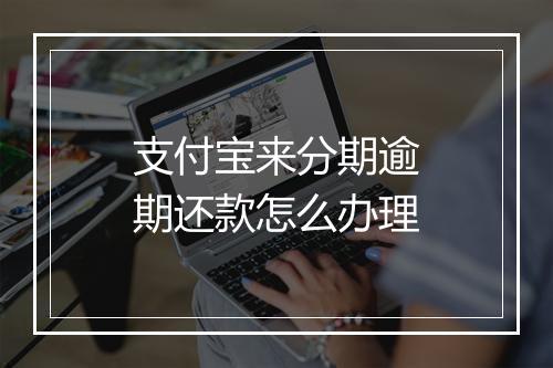 支付宝来分期逾期还款怎么办理