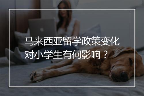 马来西亚留学政策变化对小学生有何影响？