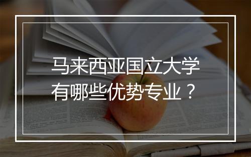 马来西亚国立大学有哪些优势专业？