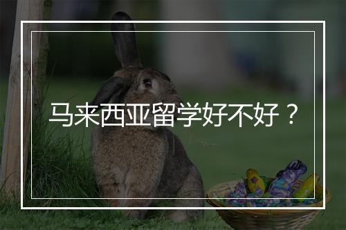 马来西亚留学好不好？