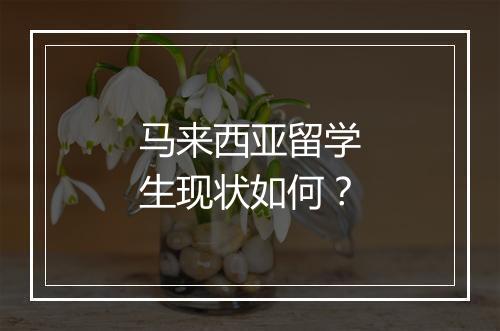 马来西亚留学生现状如何？