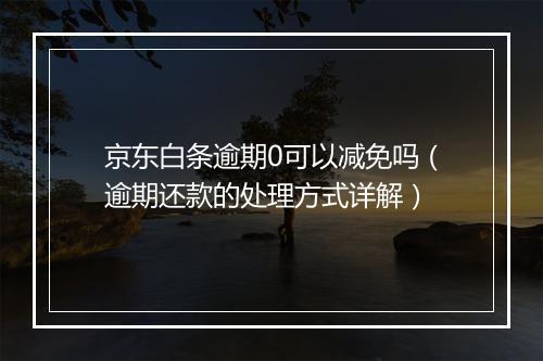京东白条逾期0可以减免吗（逾期还款的处理方式详解）