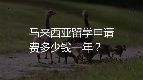 马来西亚留学申请费多少钱一年？