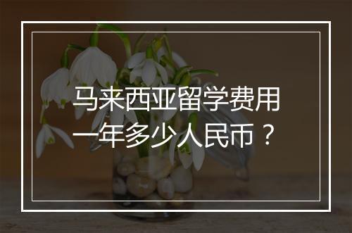 马来西亚留学费用一年多少人民币？