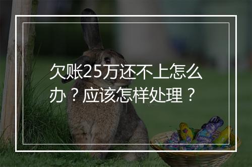 欠账25万还不上怎么办？应该怎样处理？