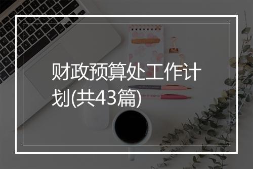 财政预算处工作计划(共43篇)