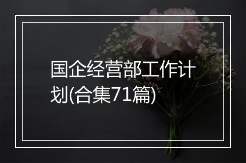 国企经营部工作计划(合集71篇)
