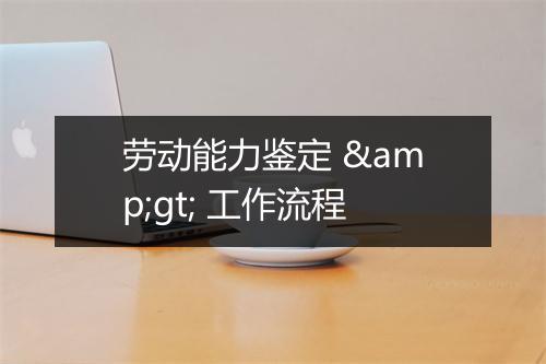 劳动能力鉴定 &gt; 工作流程